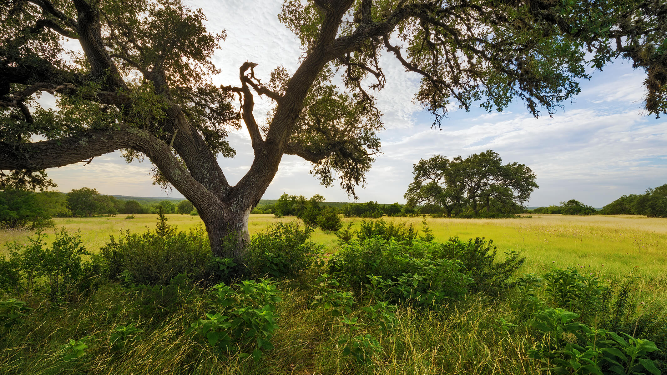 new-homes-for-sale-dripping-springs-tx-headwaters-1.jpg